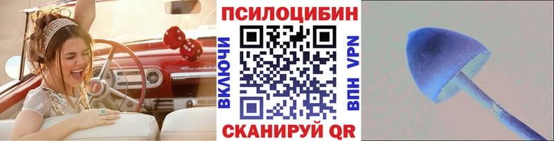Псилоцибиновые грибы Psilocybine cubensis  mega   Липки 